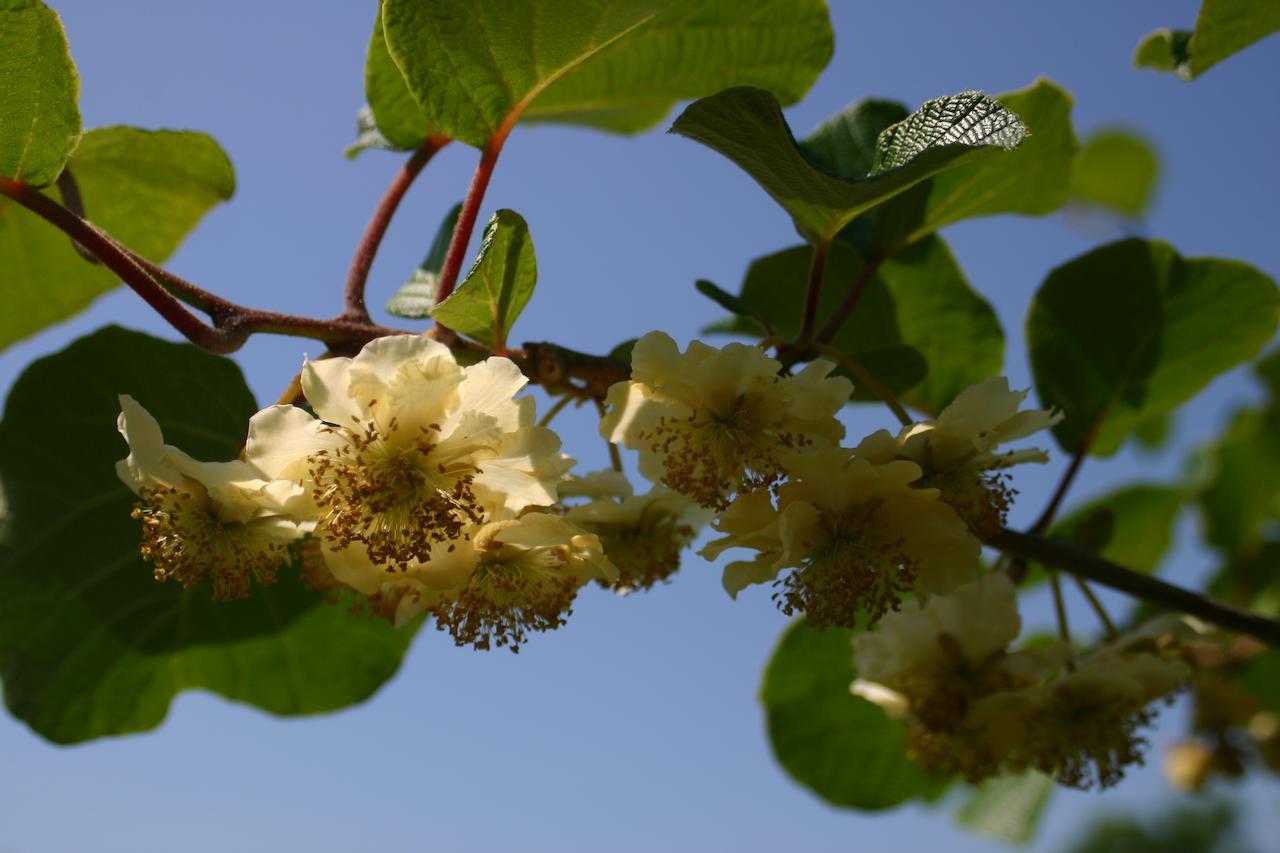 B&B Aan De Burgt Boekel Dış mekan fotoğraf