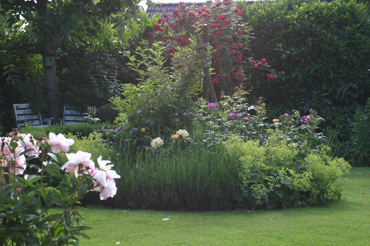 B&B Aan De Burgt Boekel Dış mekan fotoğraf